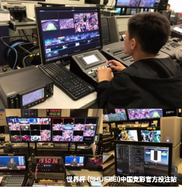 历史命中率透明可查